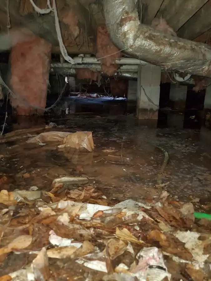 Crawl space flood assessment for Leak Detection & Repair in Bath